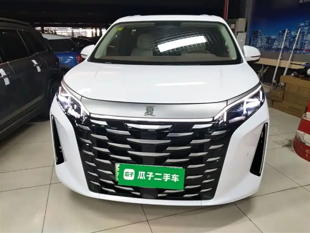 BYD Xia 2025 из CN, фото 3