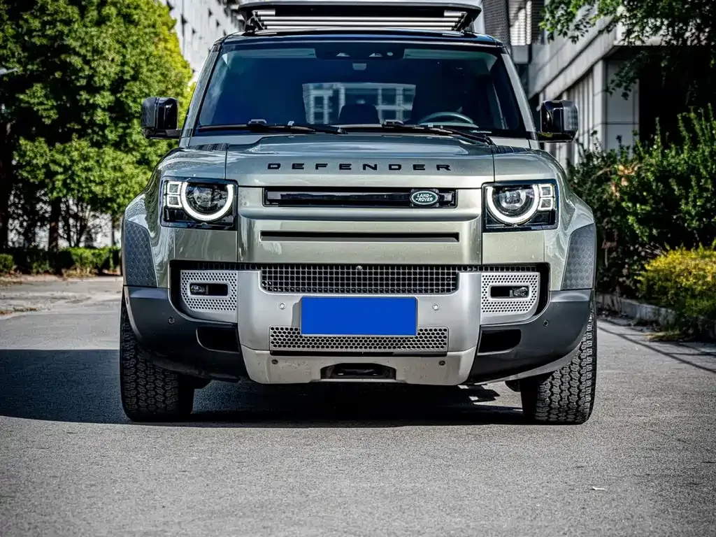 Land Rover Defender 2022 из CN, фото 2