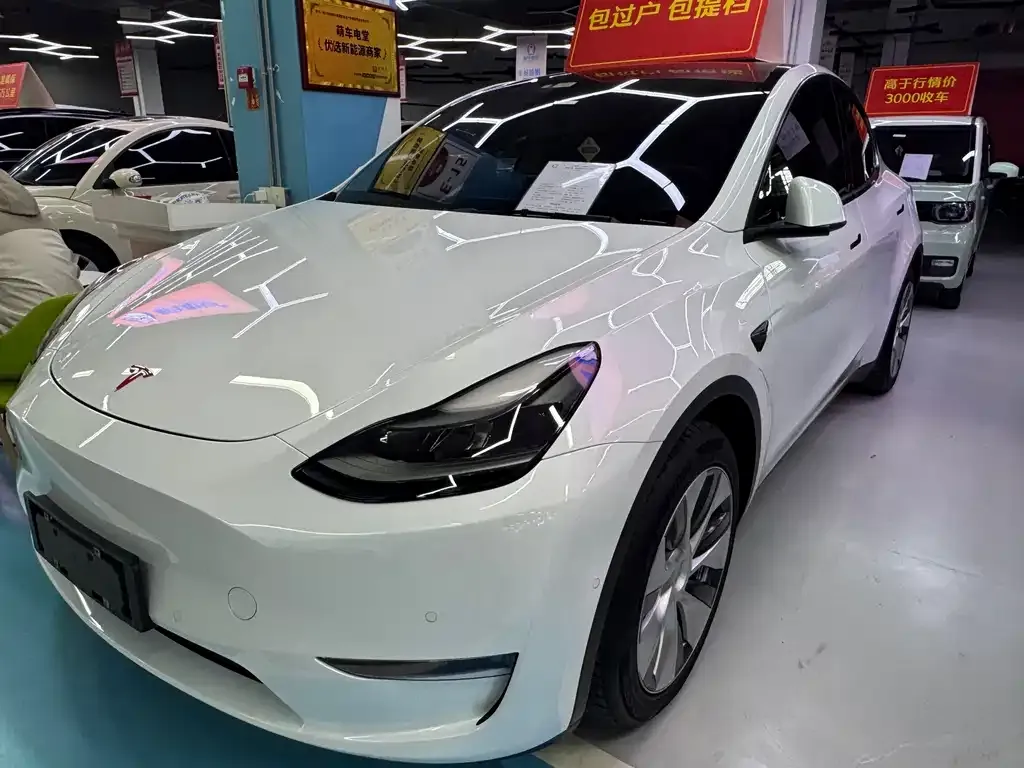 Tesla Model Y 2021 из CN, фото 1