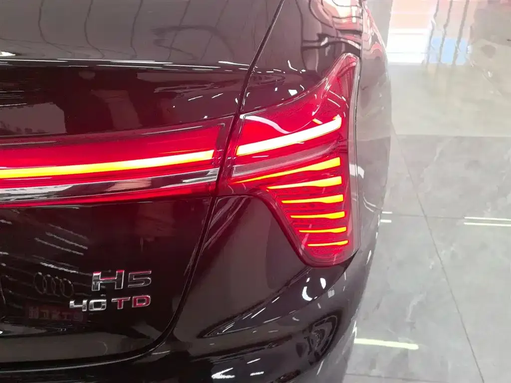 Hongqi H5 2024 из CN, фото 8