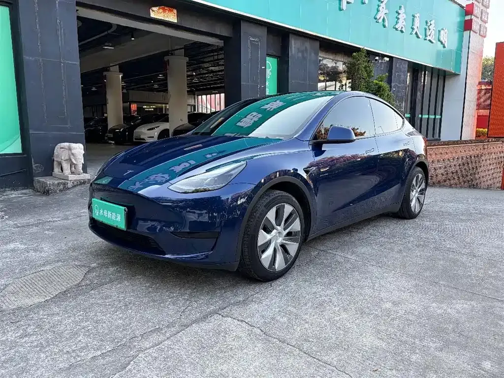Tesla Model Y 2022 из CN, фото 1