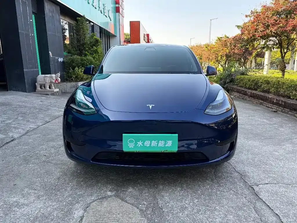 Tesla Model Y 2022 из CN, фото 2