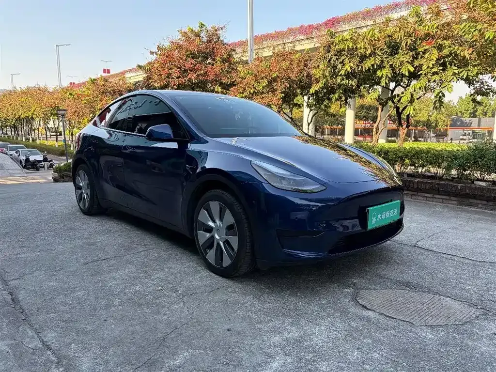 Tesla Model Y 2022 из CN, фото 3