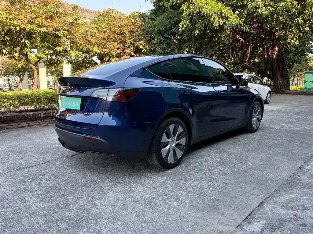 Tesla Model Y 2022 из CN, фото 4