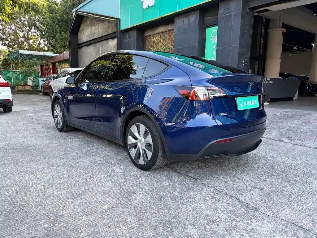 Tesla Model Y 2022 из CN, фото 6