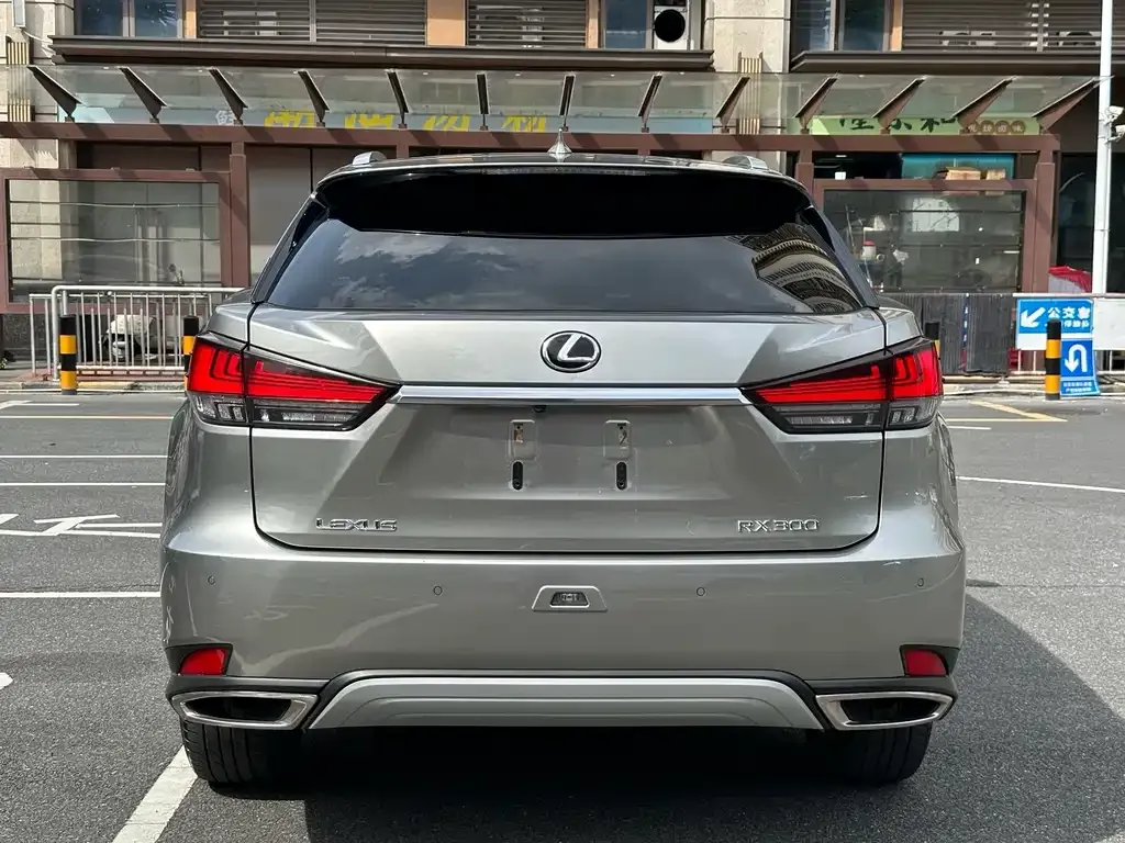Lexus RX 2022 из CN, фото 5