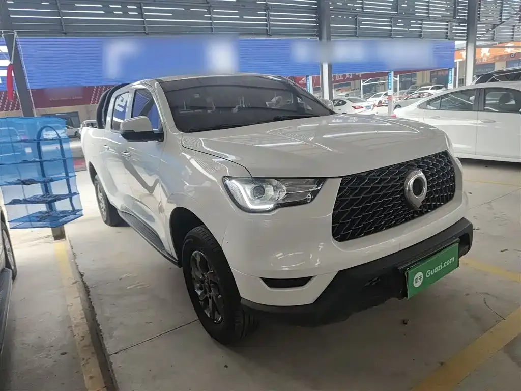 Great Wall Pao 2022 из CN, фото 4