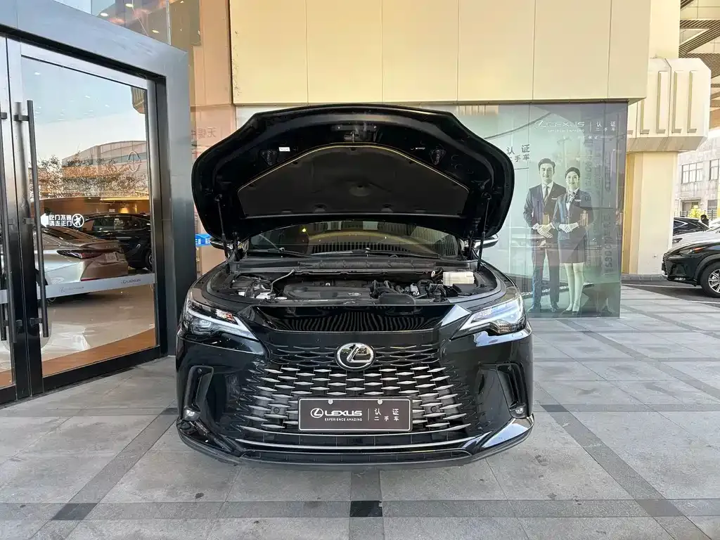 Lexus RX 2024 из CN, фото 4
