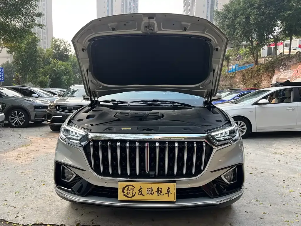 Hongqi HS5 2023 из CN, фото 4