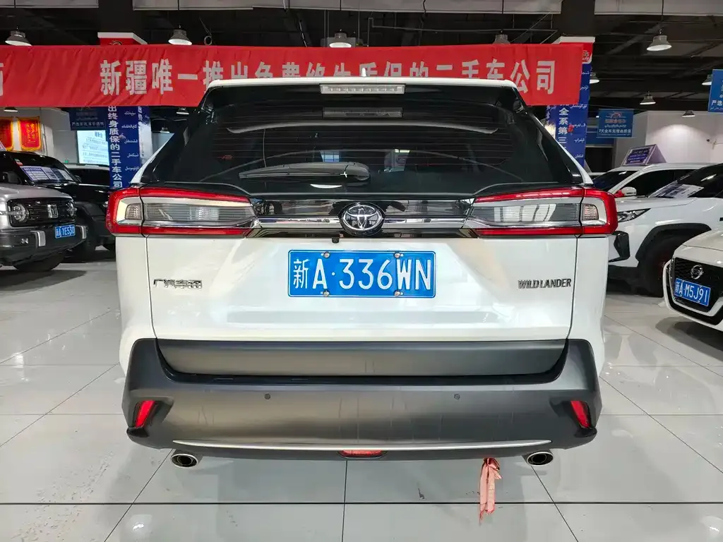Toyota Wildlander 2023 из CN, фото 8