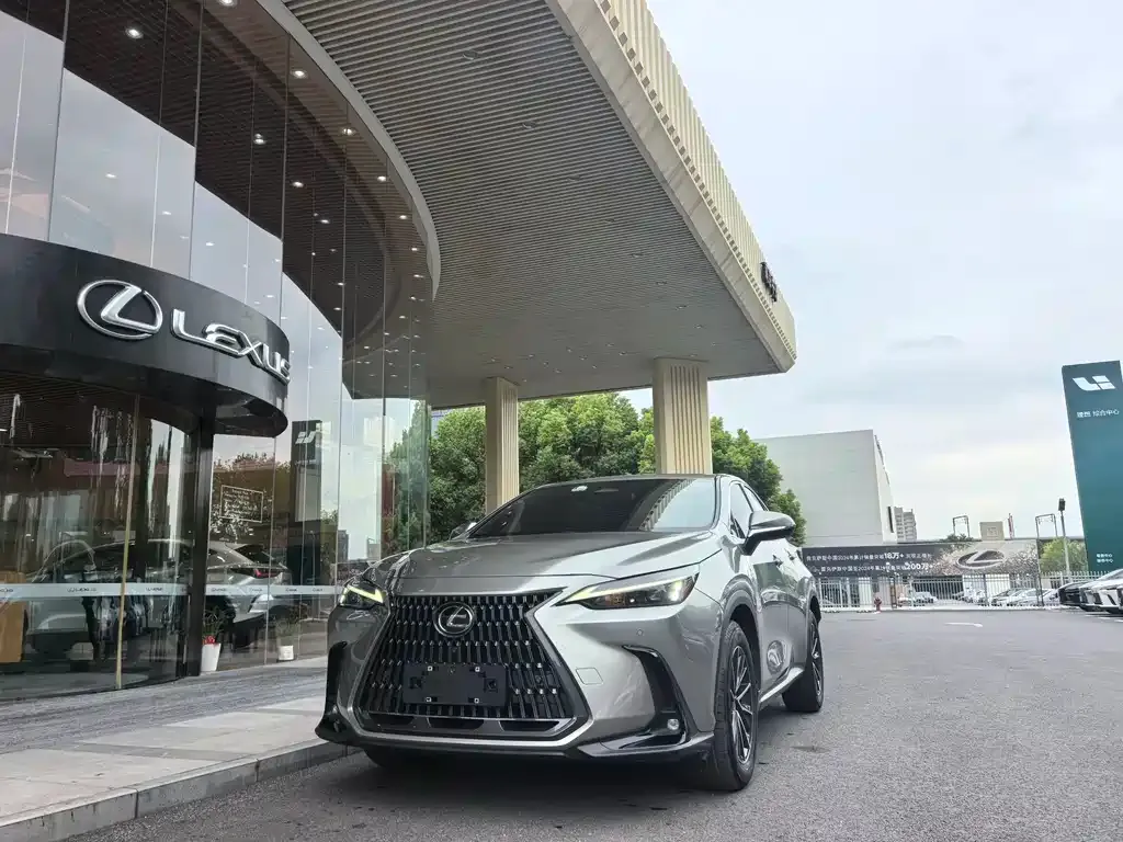 Lexus NX 2023 из CN, фото 1