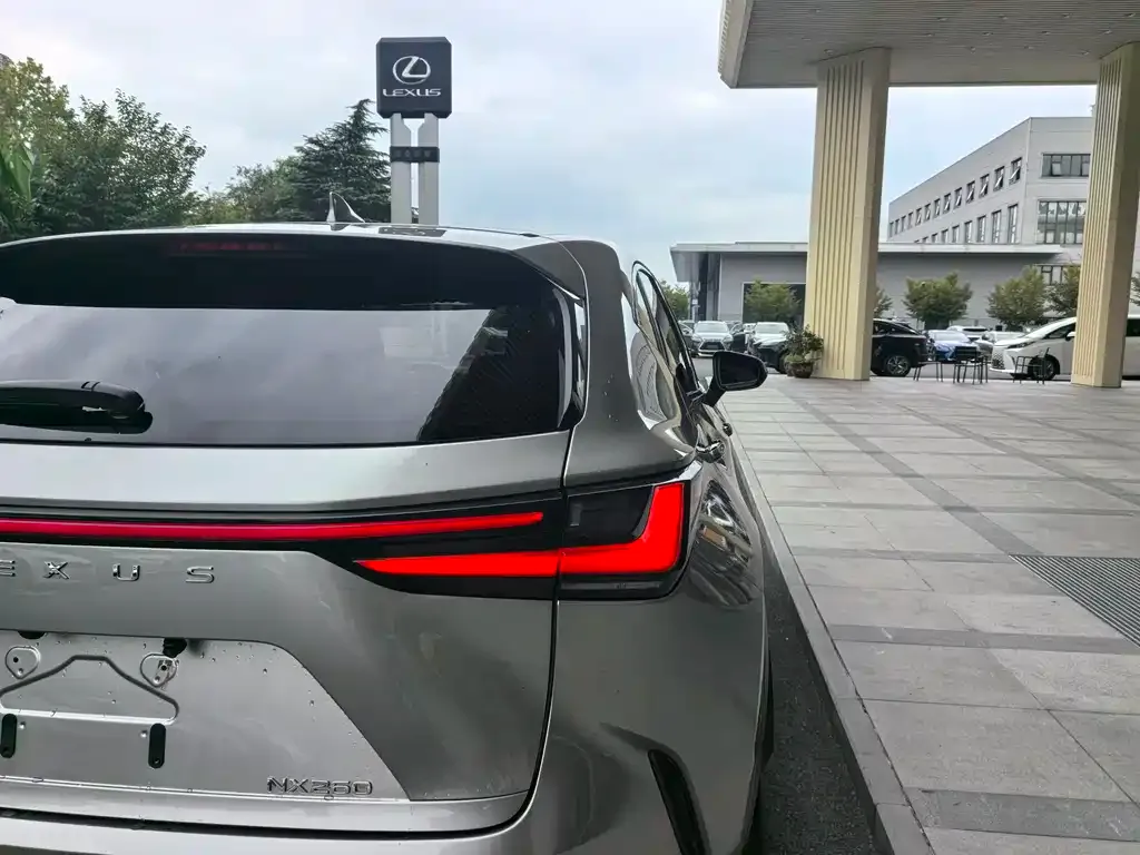 Lexus NX 2023 из CN, фото 10