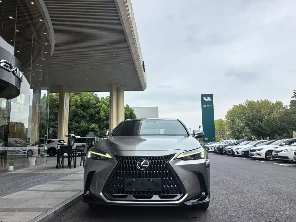 Lexus NX 2023 из CN, фото 2