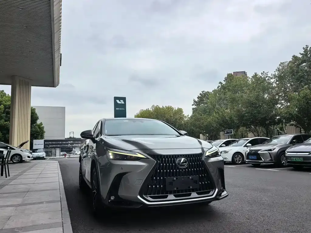 Lexus NX 2023 из CN, фото 4