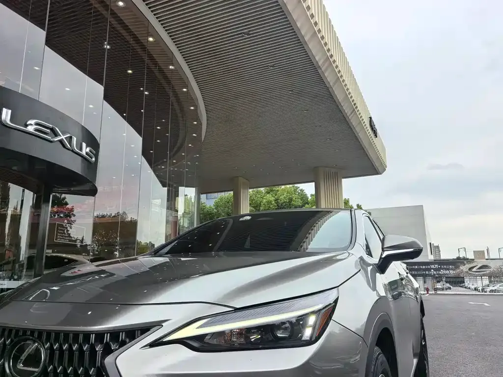 Lexus NX 2023 из CN, фото 6