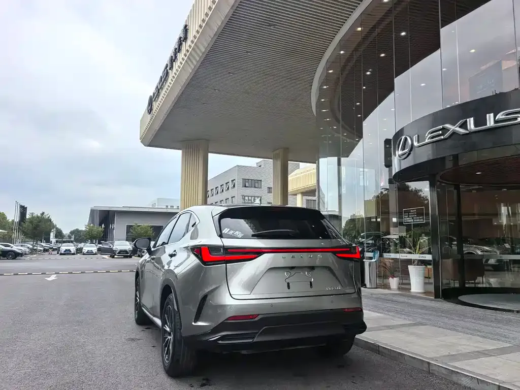 Lexus NX 2023 из CN, фото 7