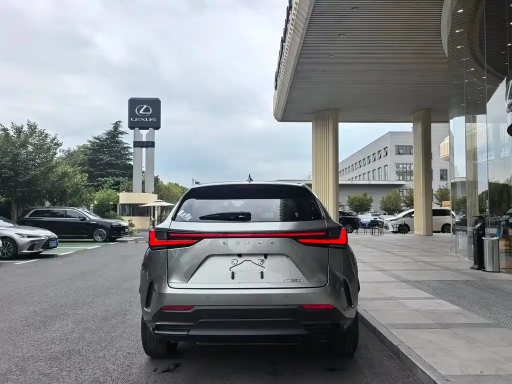 Lexus NX 2023 из CN, фото 8