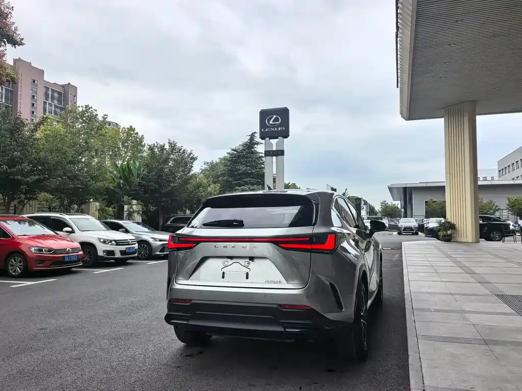 Lexus NX 2023 из CN, фото 9