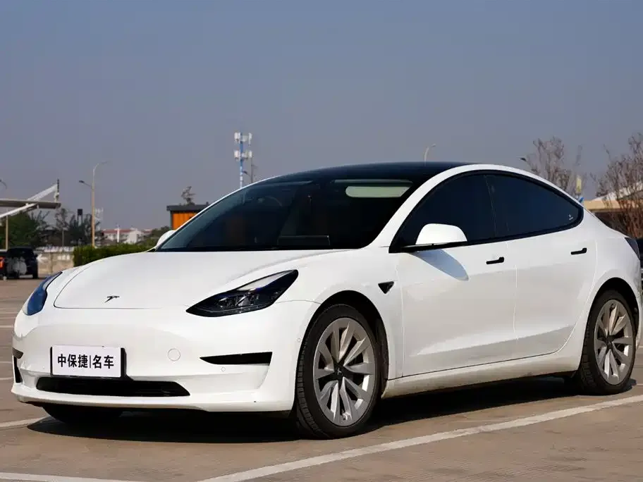 Tesla Model 3 2021 из CN, фото 1