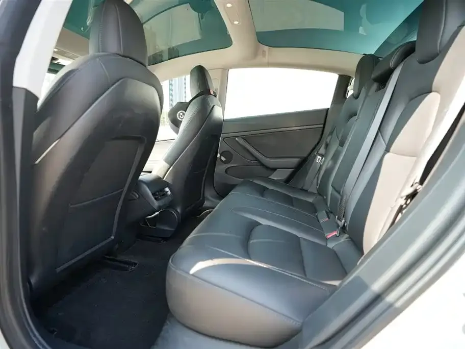 Tesla Model 3 2021 из CN, фото 10