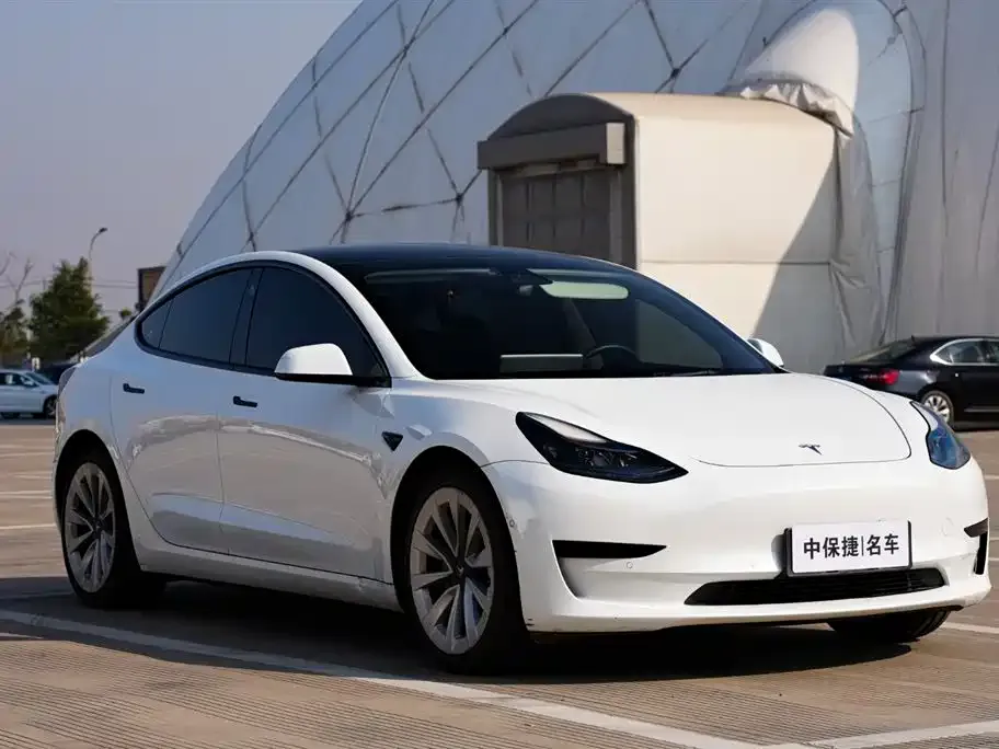 Tesla Model 3 2021 из CN, фото 2