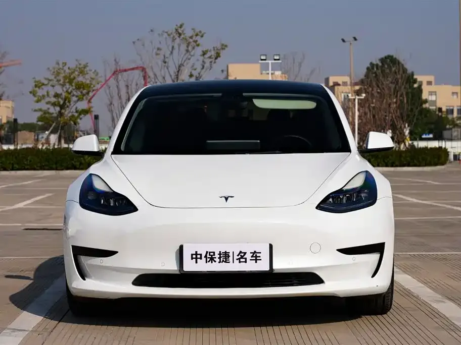 Tesla Model 3 2021 из CN, фото 3
