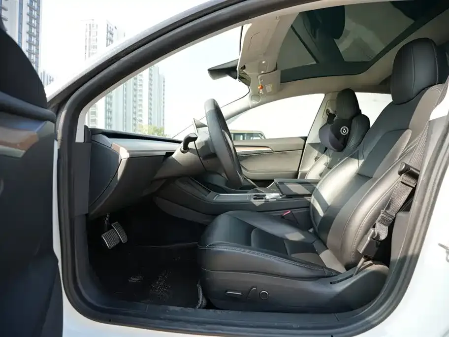 Tesla Model 3 2021 из CN, фото 6