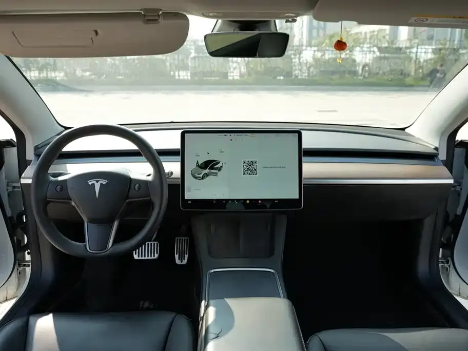 Tesla Model 3 2021 из CN, фото 8