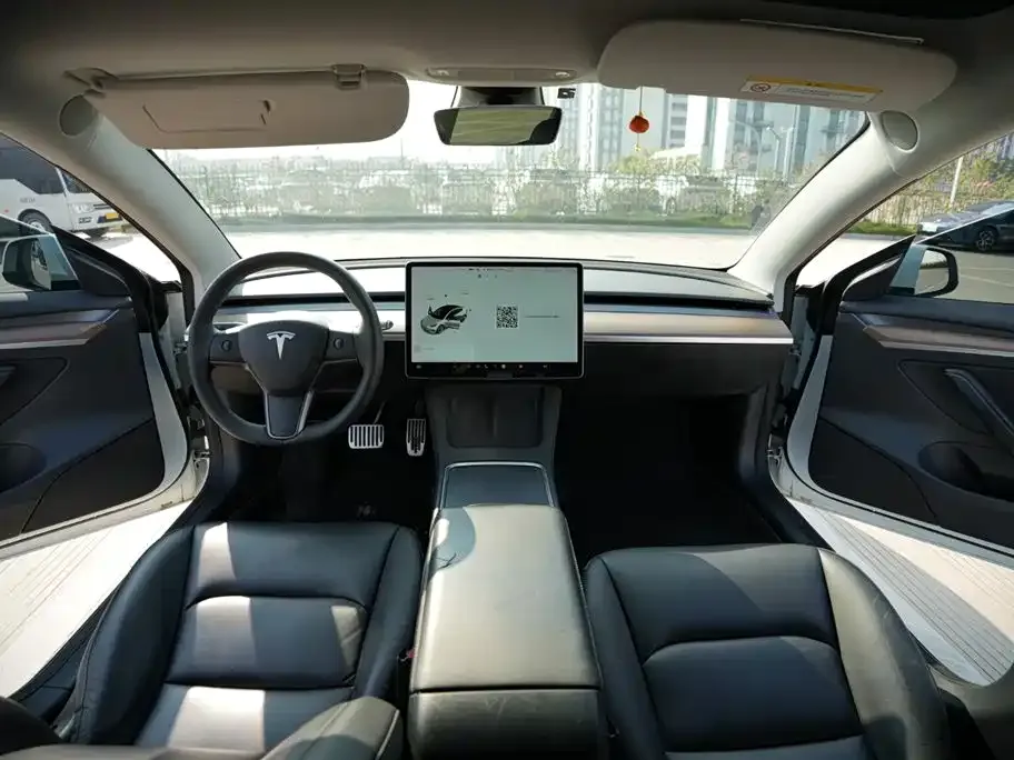 Tesla Model 3 2021 из CN, фото 9