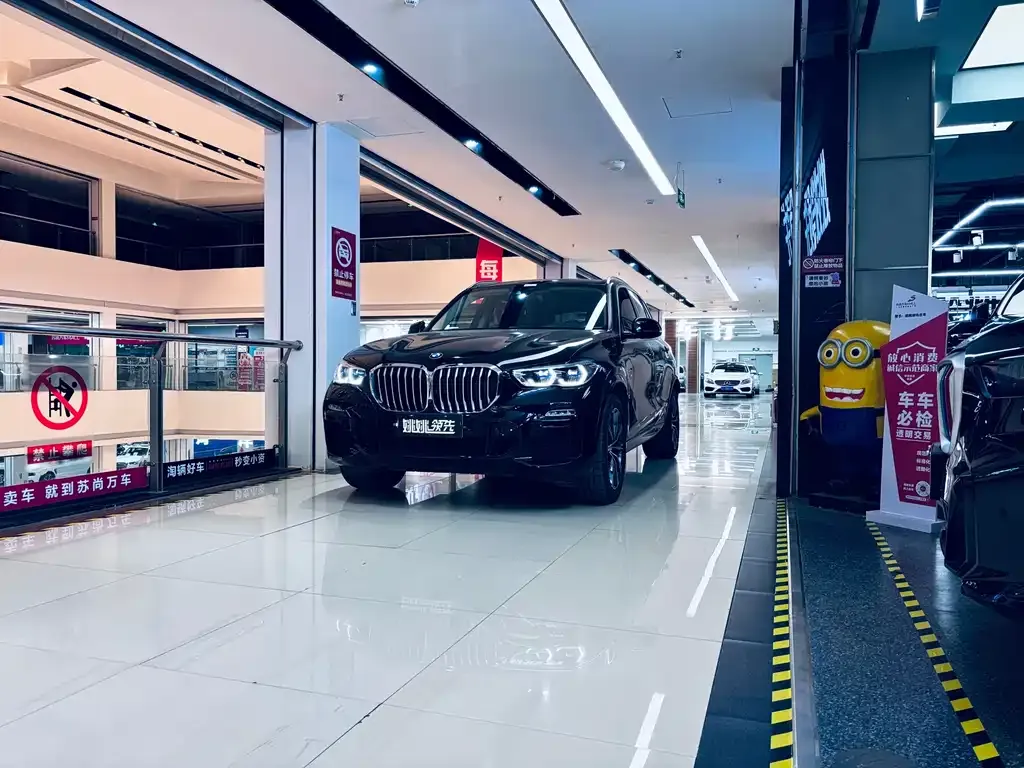 BMW X5 (Import) 2021 из CN, фото 1
