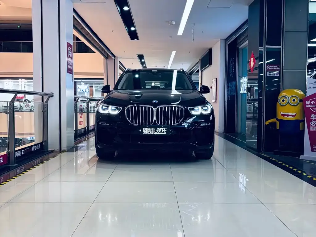 BMW X5 (Import) 2021 из CN, фото 2