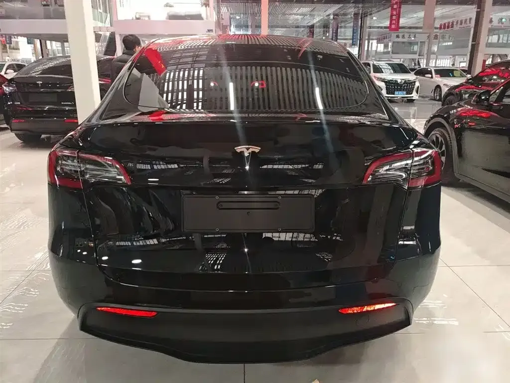 Tesla Model Y 2023 из CN, фото 6