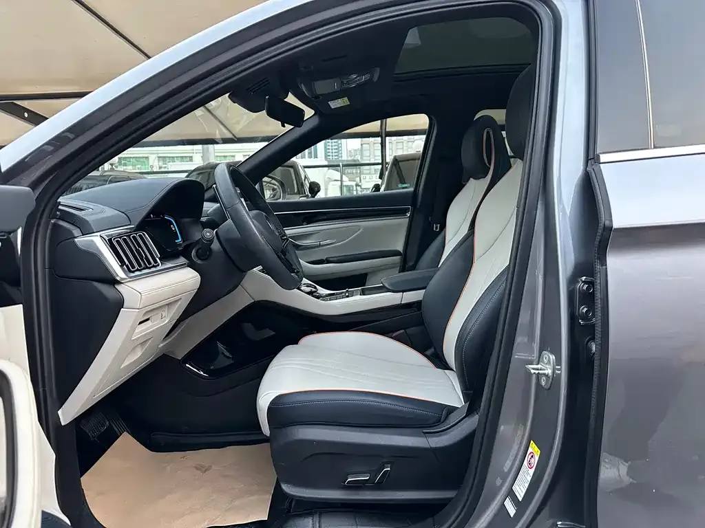BYD PLUS New Energy 2023 из CN, фото 10