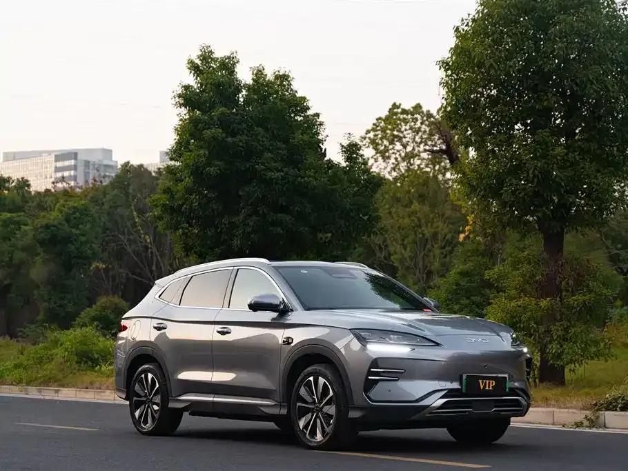 BYD PLUS New Energy 2025 из CN, фото 3