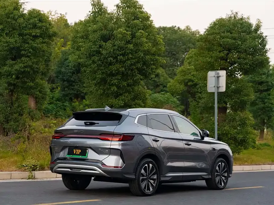 BYD PLUS New Energy 2025 из CN, фото 4
