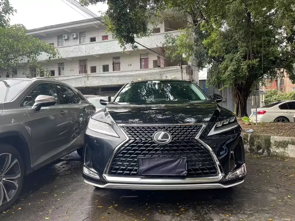 Lexus RX 2022 из CN, фото 1