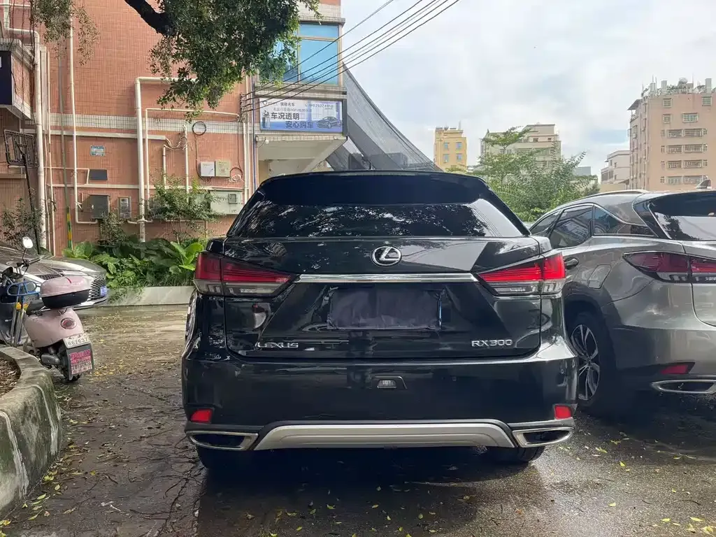 Lexus RX 2022 из CN, фото 9