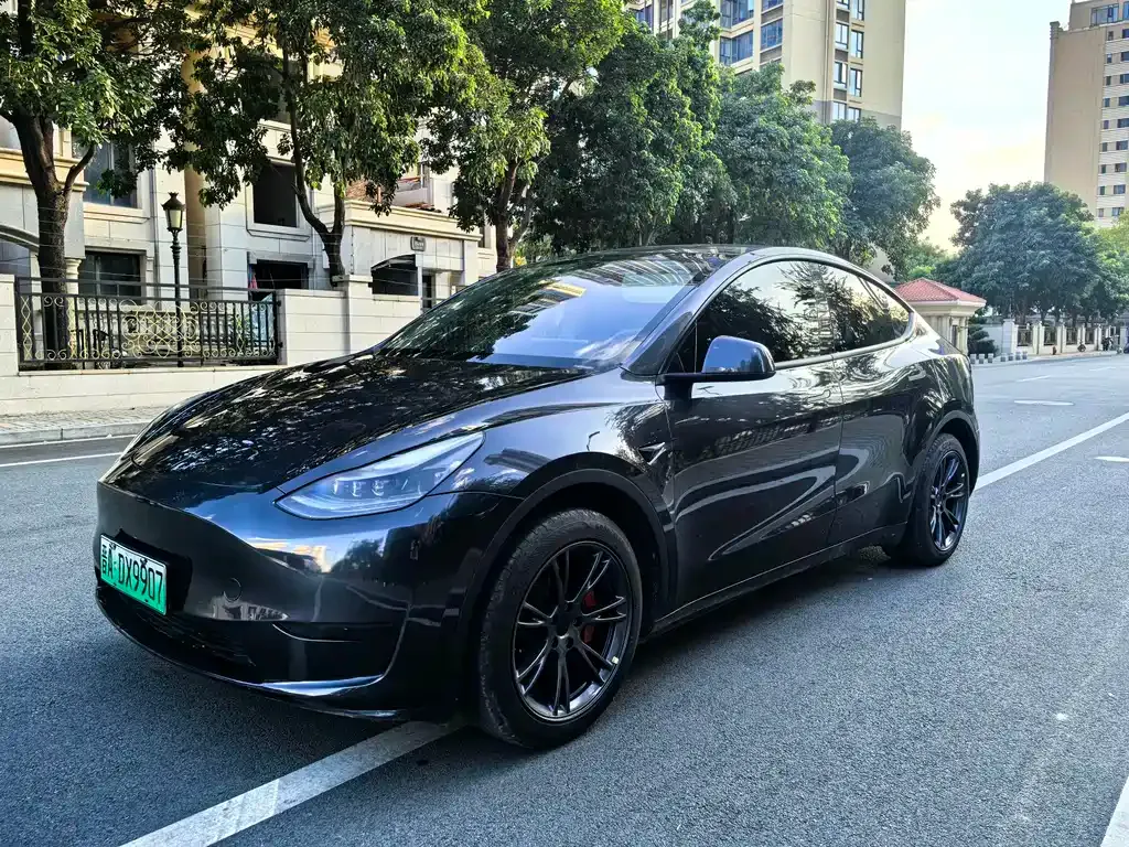 Tesla Model Y 2024 из CN, фото 1