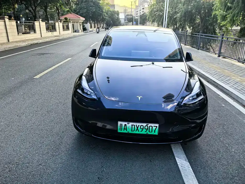 Tesla Model Y 2024 из CN, фото 2