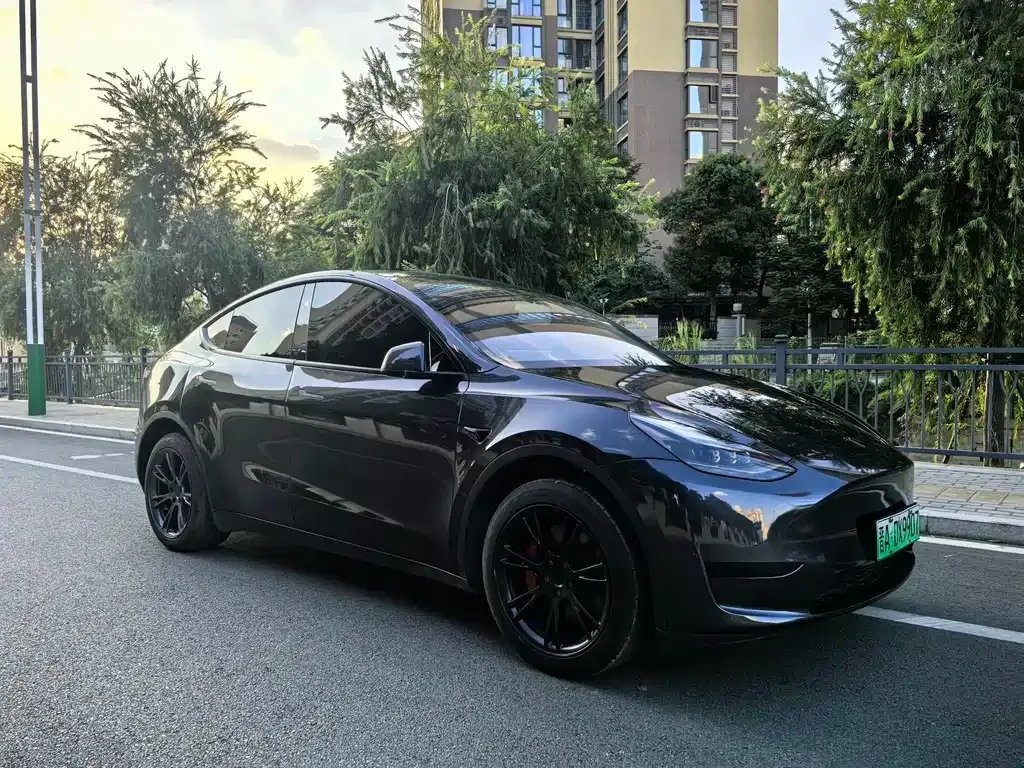 Tesla Model Y 2024 из CN, фото 3