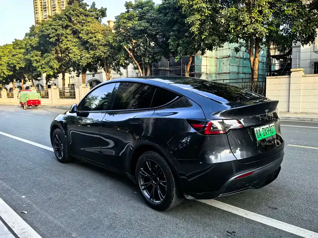 Tesla Model Y 2024 из CN, фото 4
