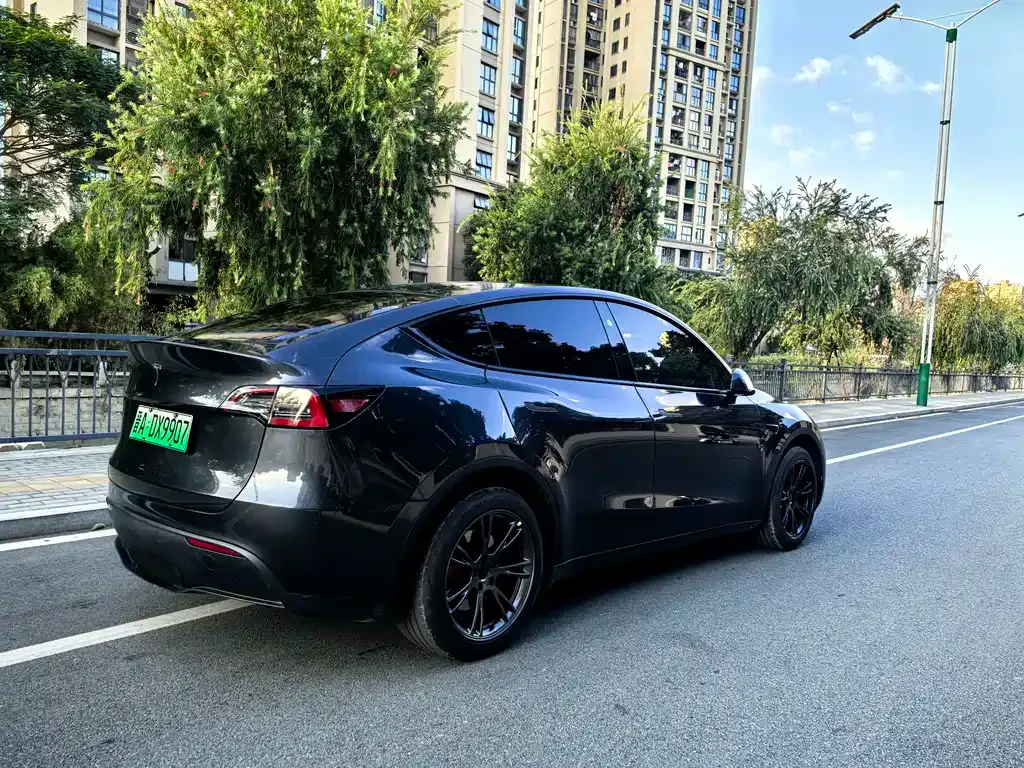 Tesla Model Y 2024 из CN, фото 5