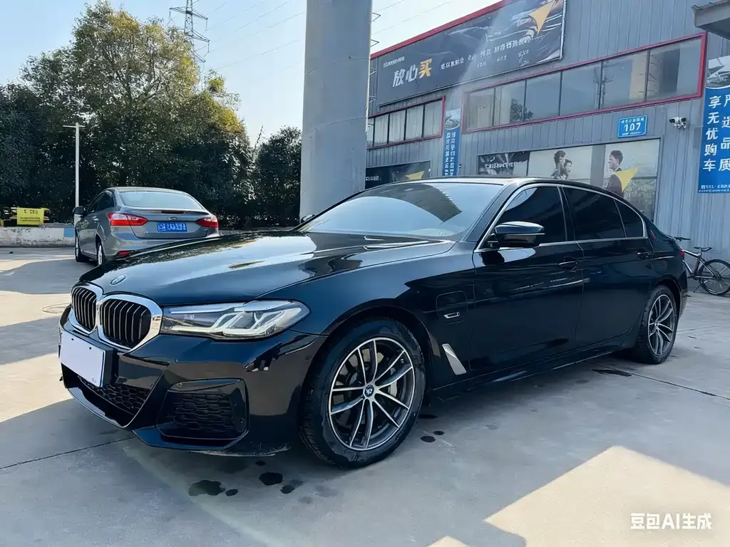BMW 5 Series New Energy 2022 из CN, фото 1