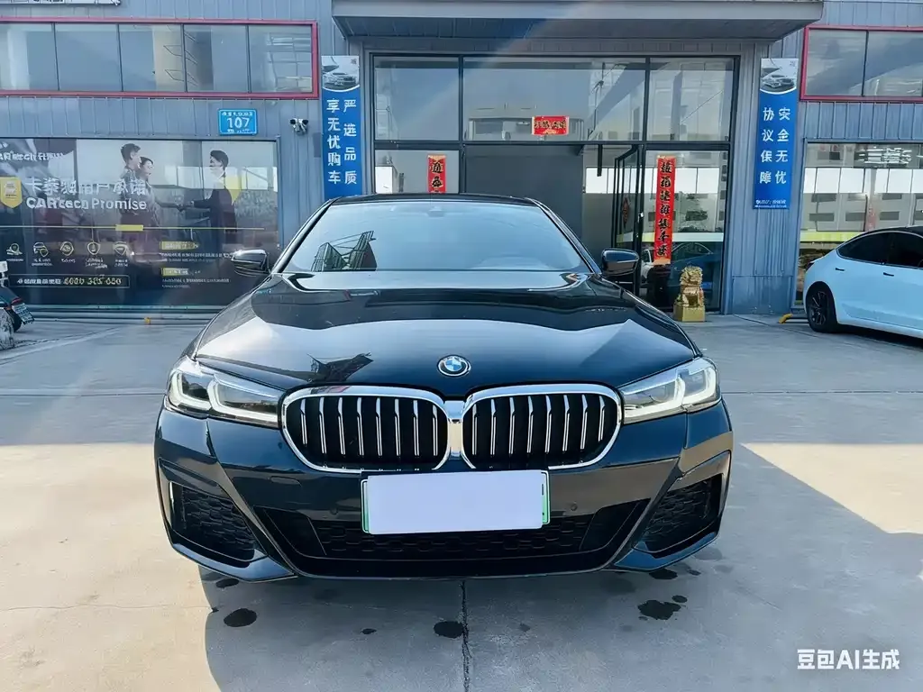 BMW 5 Series New Energy 2022 из CN, фото 2