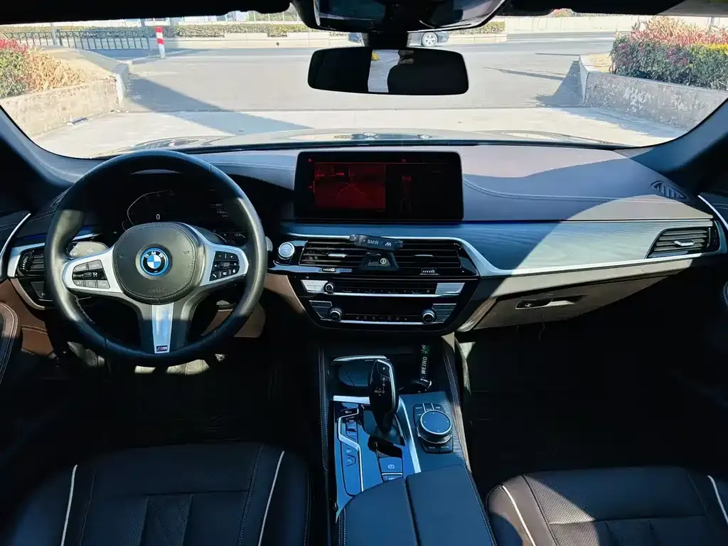 BMW 5 Series New Energy 2022 из CN, фото 6