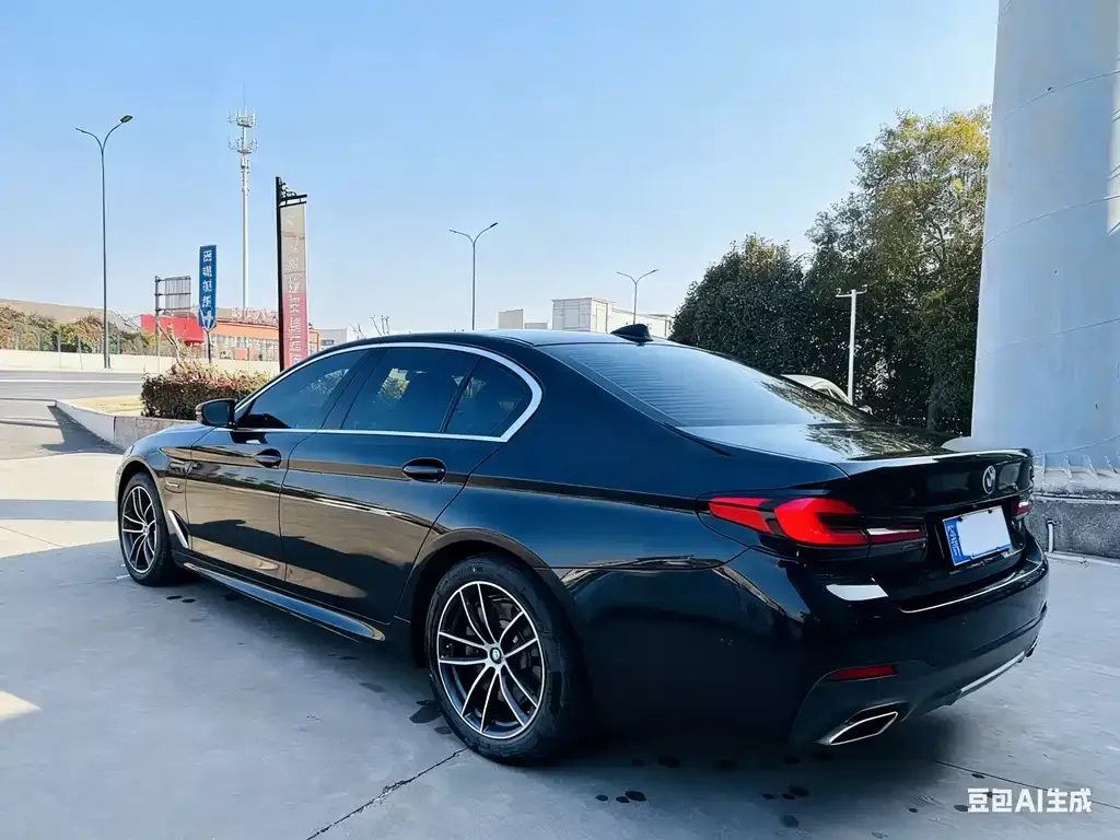BMW 5 Series New Energy 2022 из CN, фото 9