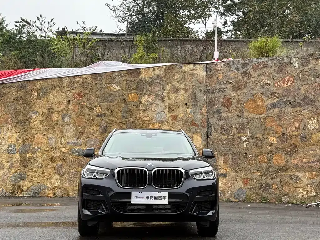 BMW X3 2021 из CN, фото 2