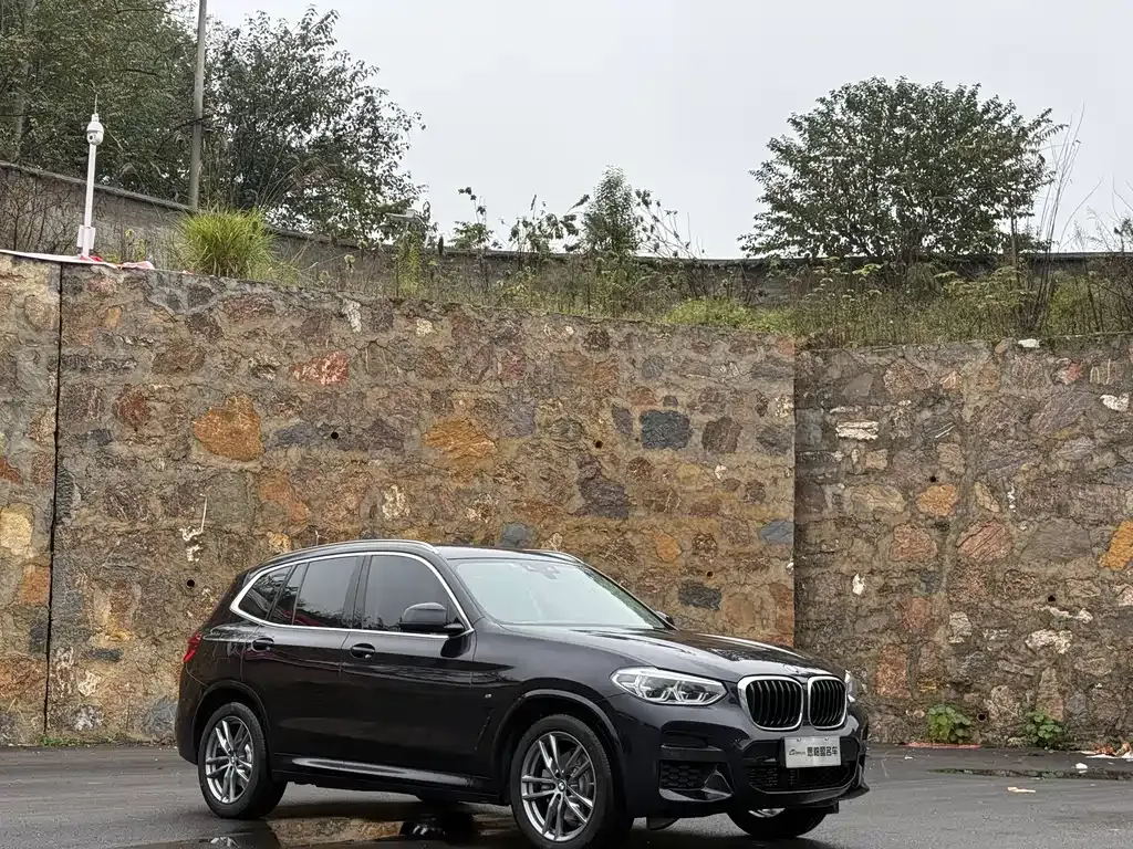 BMW X3 2021 из CN, фото 3