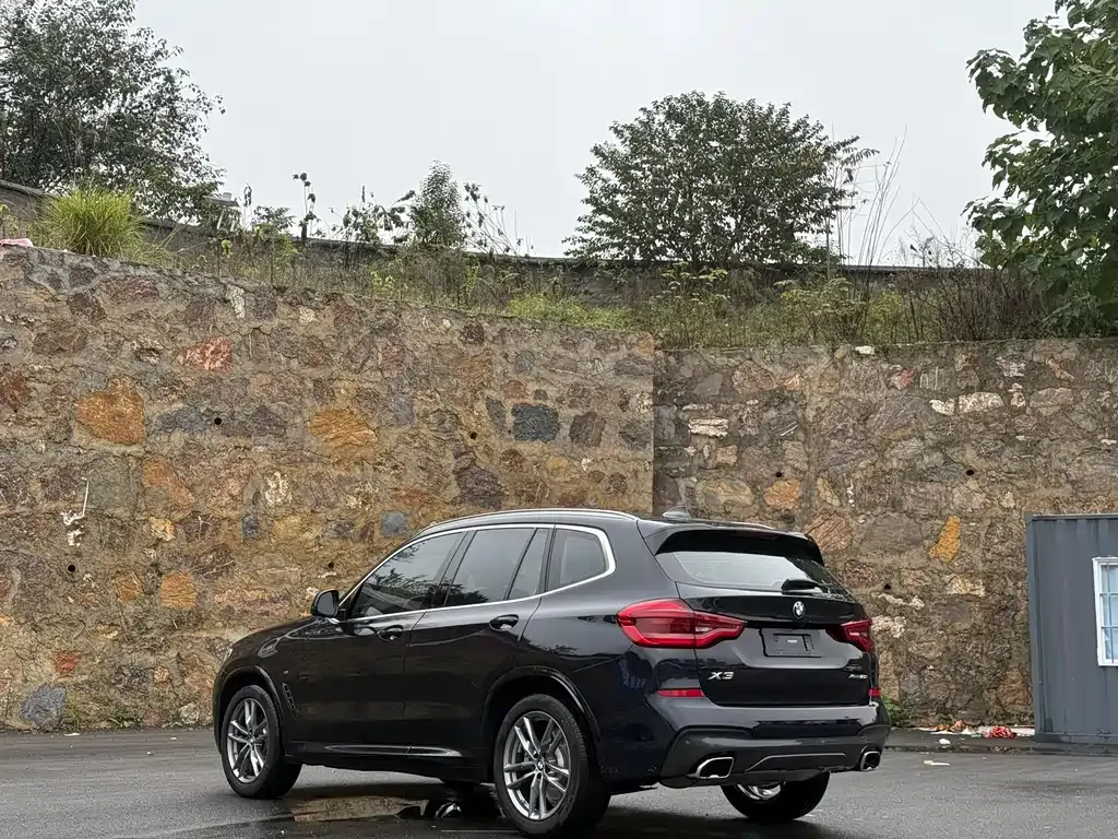 BMW X3 2021 из CN, фото 9