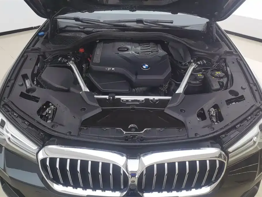 BMW 5 Series 2022 из CN, фото 10